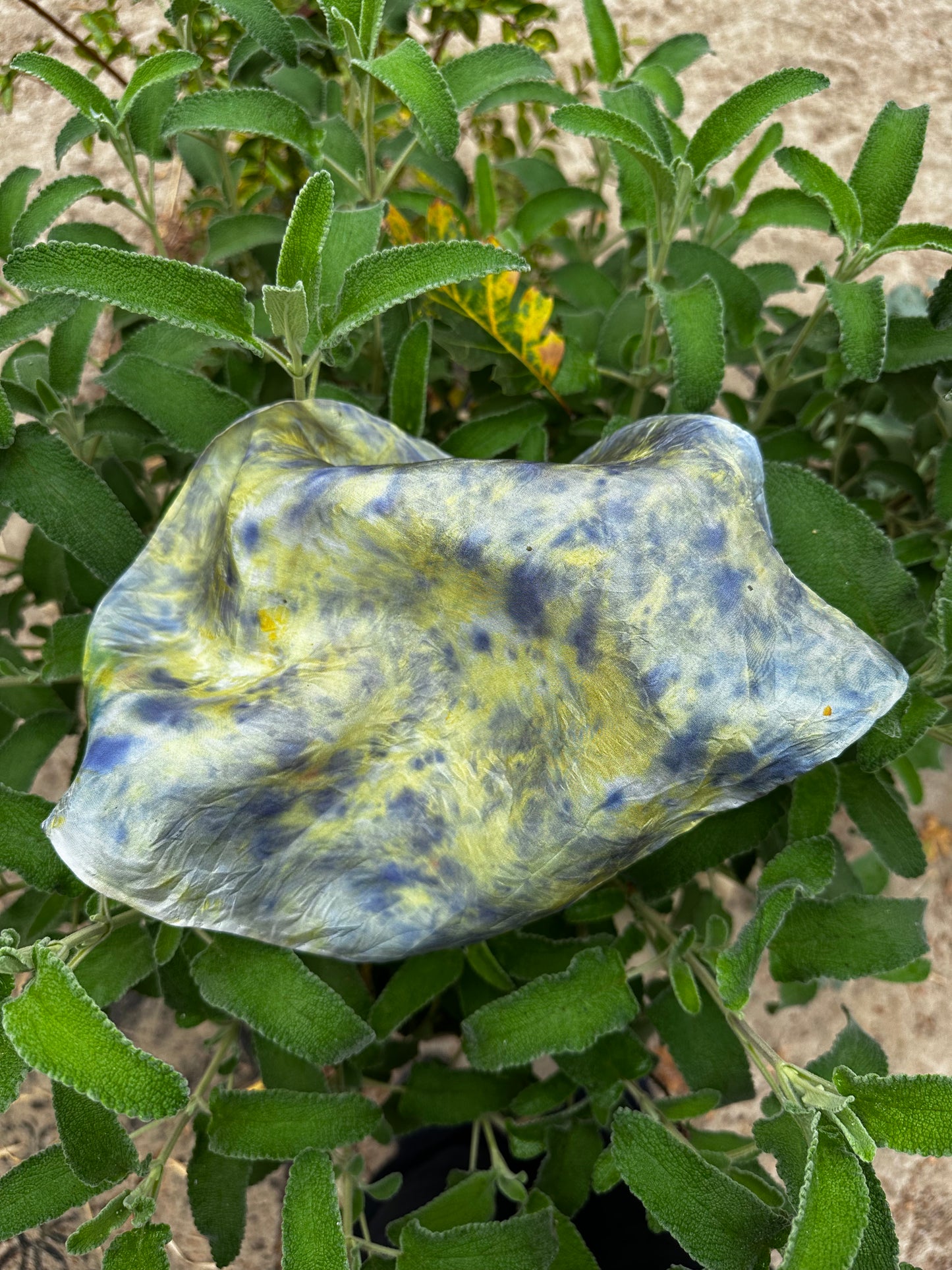 Botanical Dye Silk Bandana No. 5