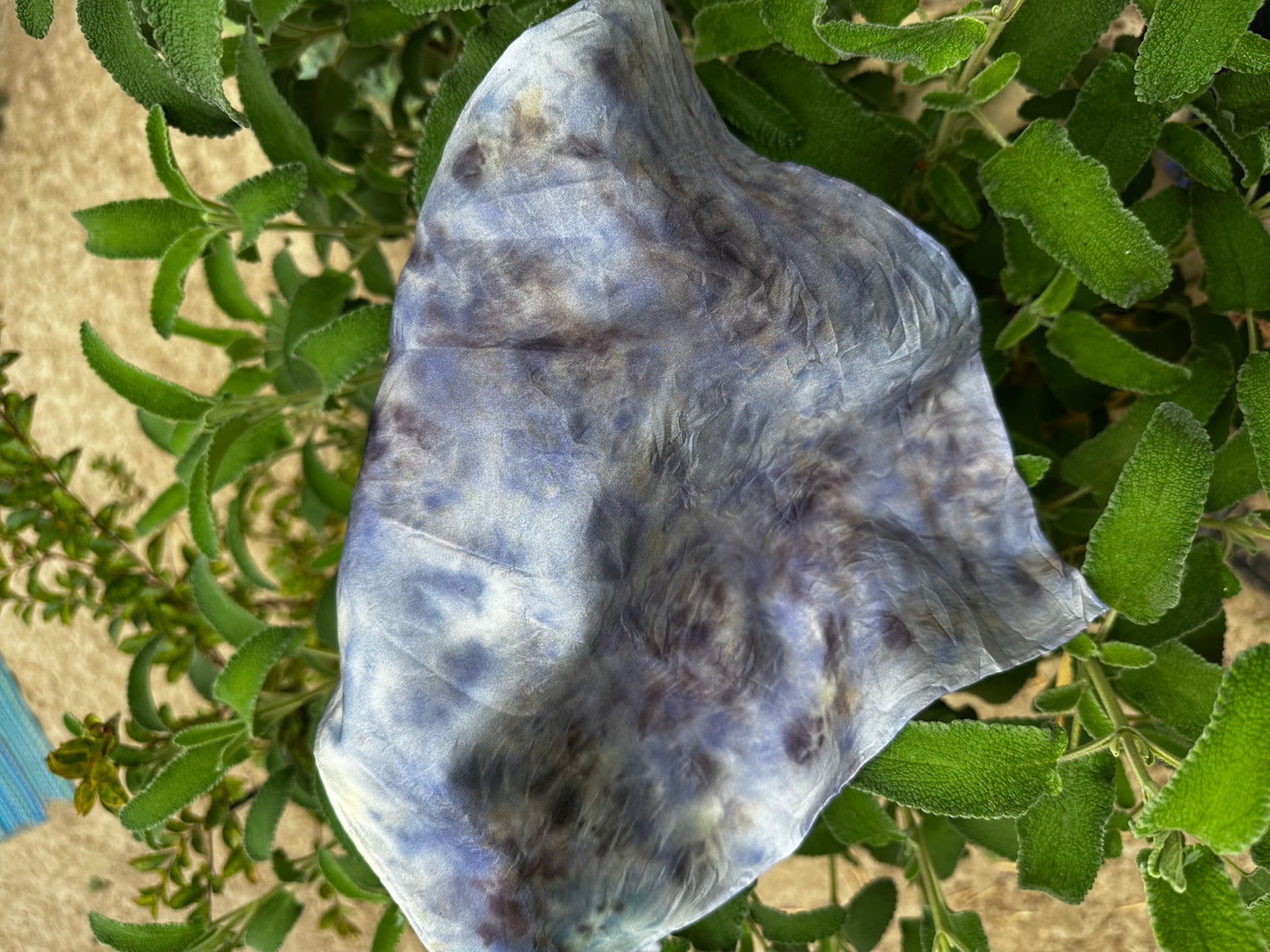 Botanical Dye Silk Bandana No. 3