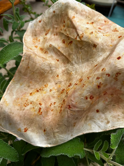 Botanical Dye Silk Bandana No. 4