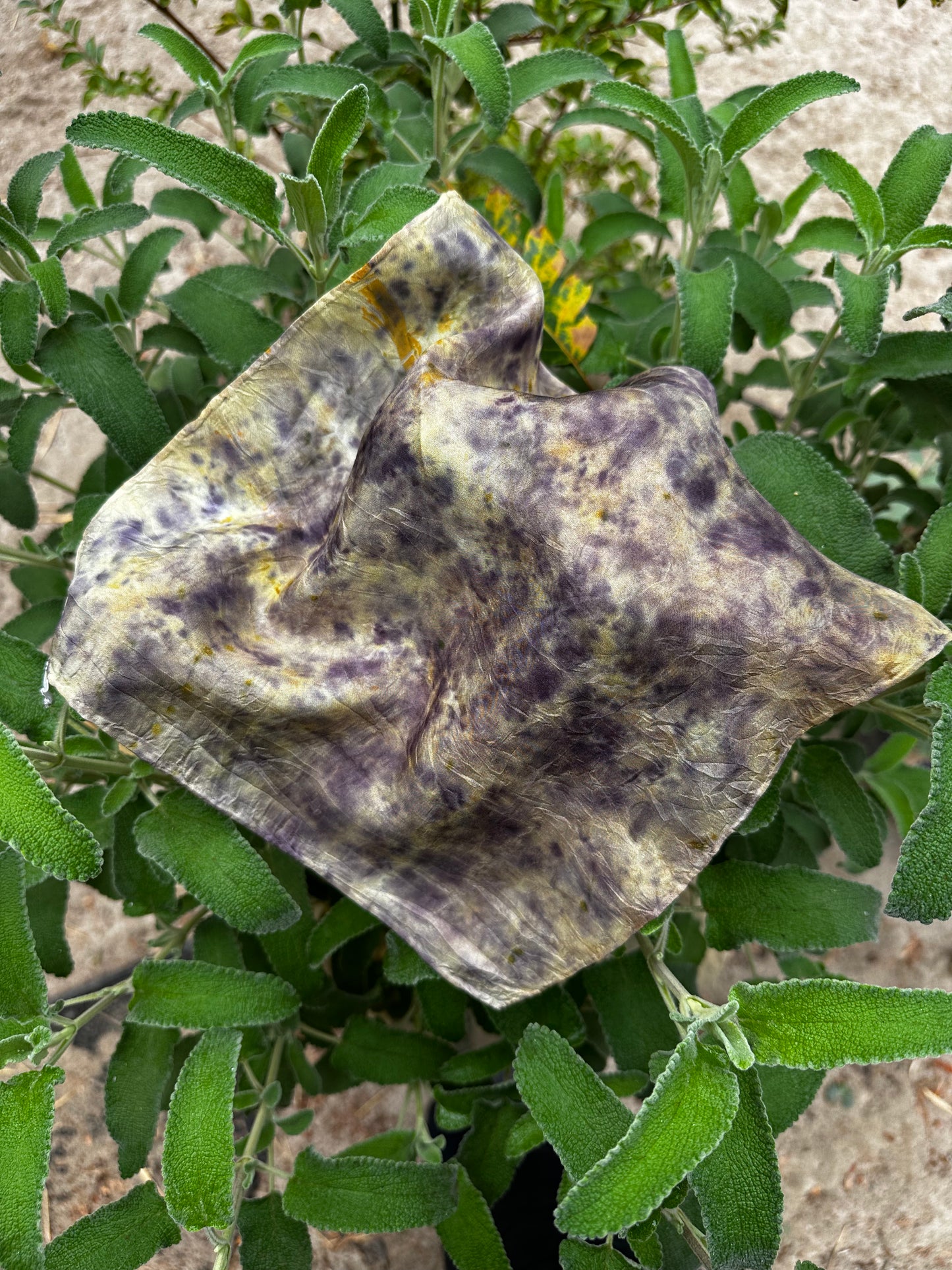 Botanical Dye Silk Bandana No. 1