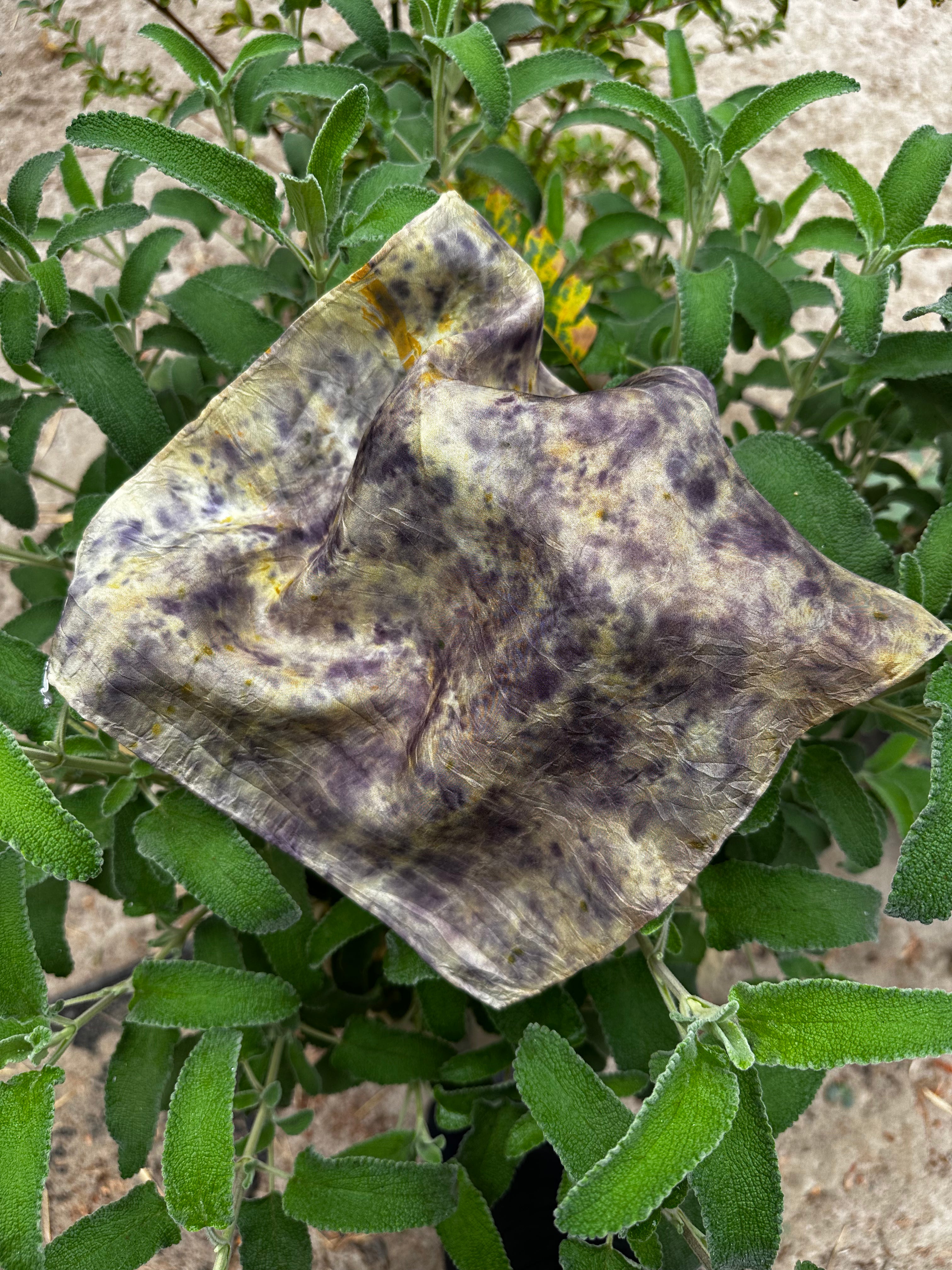 Botanical Dye Silk Bandana No. 1