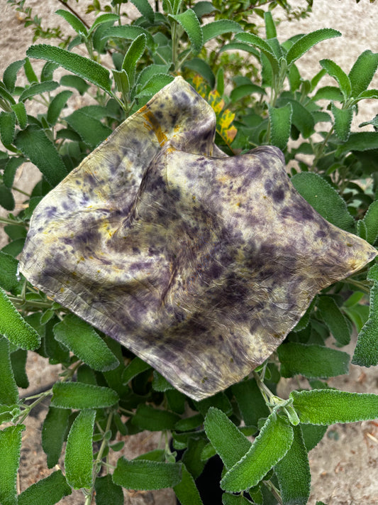 Botanical Dye Silk Bandana No. 1