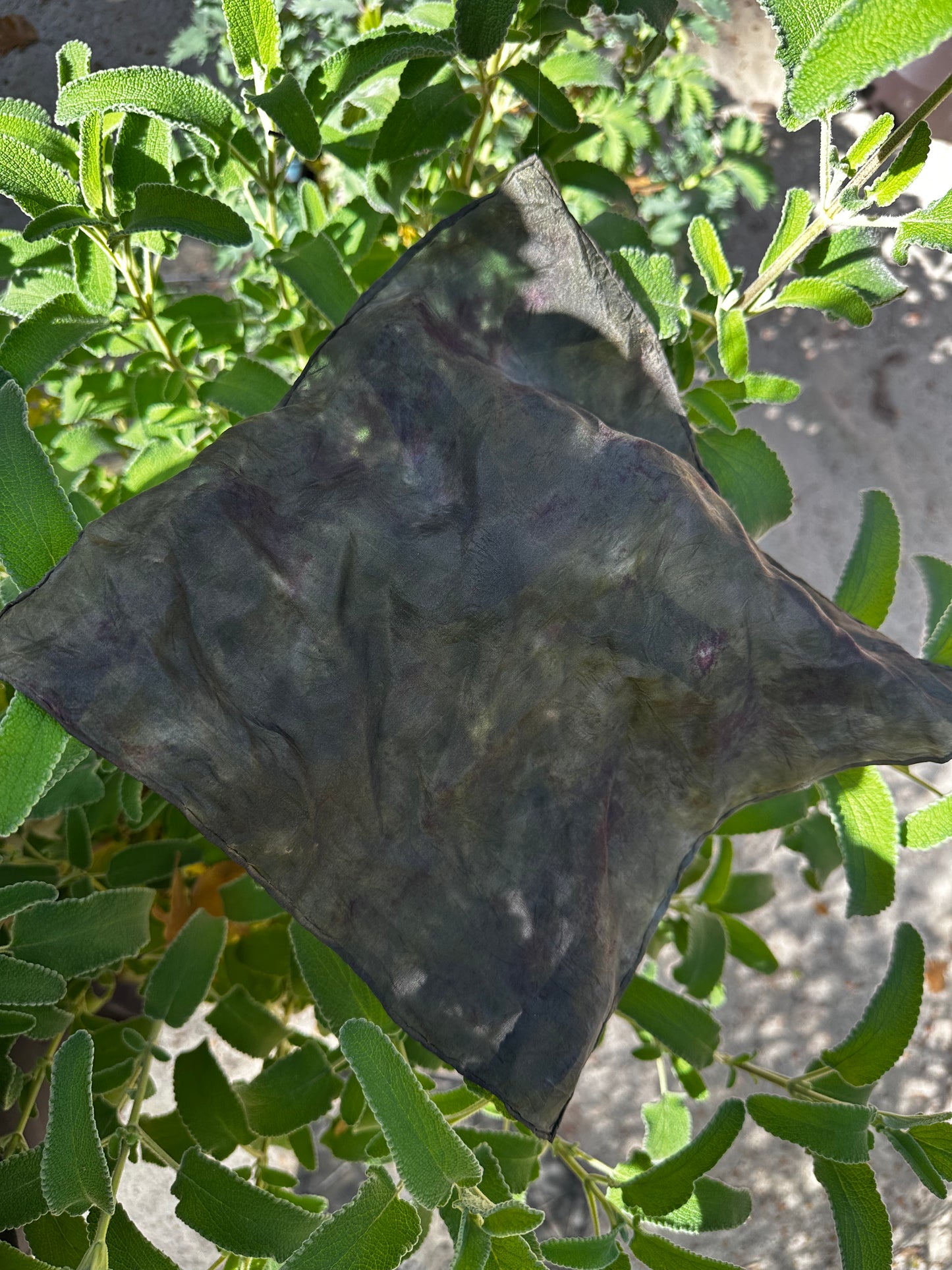 Botanical Dye Silk Bandana No. 2